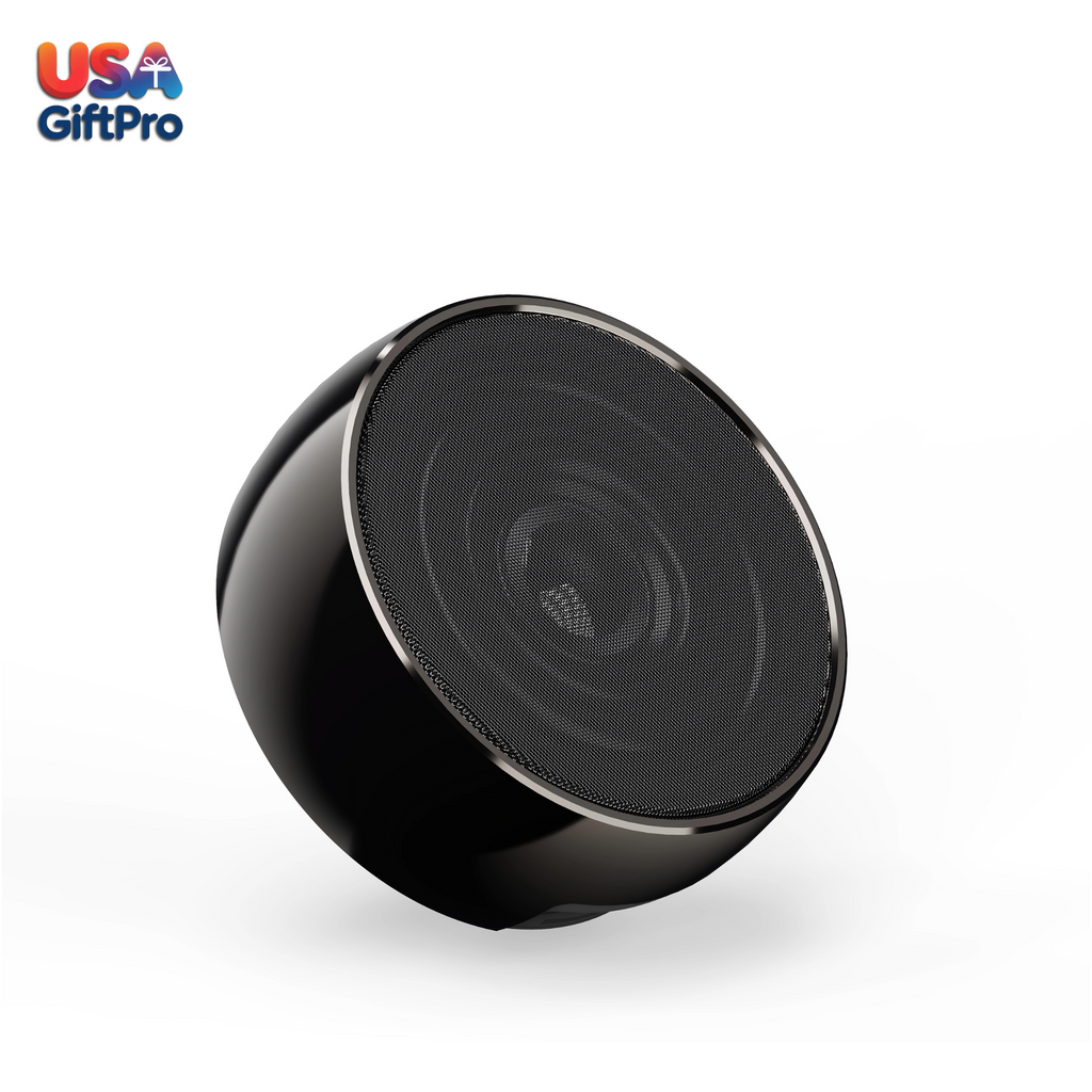 Premium Titanium Portable Speaker – Customizable Gun Gloss Finish, Wireless Bluetooth